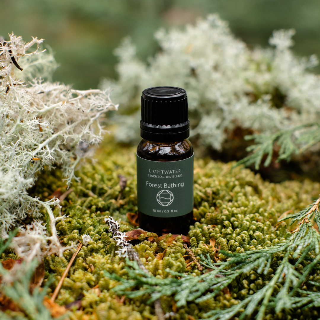 Forest Bathing Essential Oil Blend